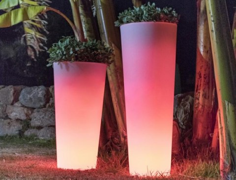 New Garden NEW GARDEN donica FICUS 60 C biała - LED New Garden NEW GARDEN donica FICUS 60 C biała - LED