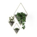 Umbra UMBRA organizer doniczka ścienna TRIGG S 2 szt. - ceramika czarny, zawieszka metal złoty Umbra UMBRA organizer doniczka ścienna TRIGG S 2 szt. - ceramika czarny, zawieszka metal złoty