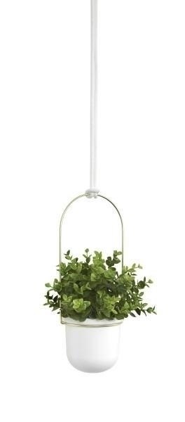 DONICZKA (ZESTAW 3) NA RELINGU TRIFLORA UMBRA - BIAŁY ZŁOTY DONICZKA (ZESTAW 3) NA RELINGU TRIFLORA UMBRA - BIAŁY ZŁOTY