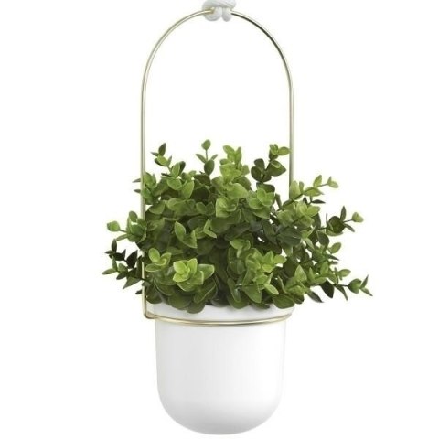 DONICZKA (ZESTAW 3) NA RELINGU TRIFLORA UMBRA - BIAŁY ZŁOTY DONICZKA (ZESTAW 3) NA RELINGU TRIFLORA UMBRA - BIAŁY ZŁOTY