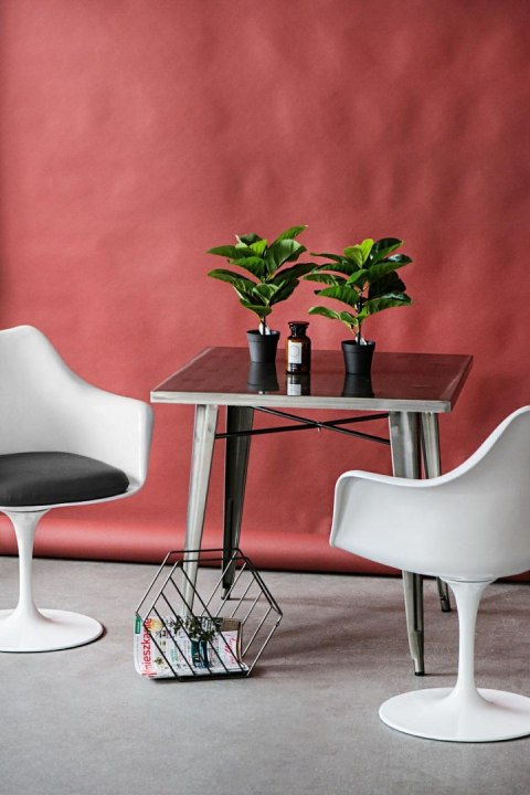 D2.DESIGN Krzesło TulAr białe/czarna poduszka D2.DESIGN Krzesło TulAr białe/czarna poduszka