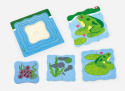 Viga Viga 59516vg Puzzle - jak rośnie żabka Viga Viga 59516vg Puzzle - jak rośnie żabka
