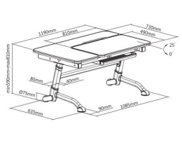 Fun Desk Biurko Amare Pink z szufladą Drawer Pink regulowane białe różowe dla dziewczynki