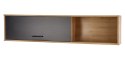 Halmar RAVEN P-1 półka wisząca kolor: dąb artisan/czarny, MDF fornir obrzeża ABS, szkło Halmar RAVEN P-1 półka wisząca kolor: dąb artisan/czarny, MDF fornir obrzeża ABS, szkło