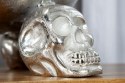 Invicta Interior INVICTA misa SKULL srebrna Invicta Interior INVICTA misa SKULL srebrna