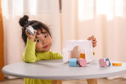 Viga Viga 44052 Sorter edukacyjny muzyczne klocki Viga Viga 44052 Sorter edukacyjny muzyczne klocki