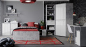 Meble Forte CANMORE CNMB211R-C273 Biurko młodzieżowe Szary/Biały Meble Forte CANMORE CNMB211R-C273 Biurko młodzieżowe Szary/Biały