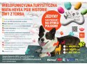 Materac lateksowy Hevea Psie Historie turystyczny 65x40 (granatowy) Materac lateksowy Hevea Psie Historie turystyczny 65x40 (granatowy)