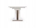 STÓŁ ROZKŁADANY SANDOR 2 160-220x90 HALMAR PROSTOKĄTNY SZKŁO POPIELATY MDF BIAŁY stal NIERDZEWNA STÓŁ ROZKŁADANY SANDOR 2 160-220x90 HALMAR PROSTOKĄTNY SZKŁO POPIELATY MDF BIAŁY stal NIERDZEWNA
