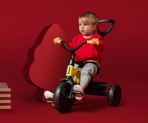 Qplay Qplay Rowerek Trójkołowy Ant Plus Red Qplay Qplay Rowerek Trójkołowy Ant Plus Red