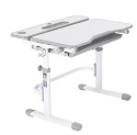 Fun Desk Fressia Grey z lampką - Regulowane biurko z szufladą Cubby Biały/Szary Fun Desk Fressia Grey z lampką - Regulowane biurko z szufladą Cubby Biały/Szary