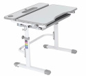 Fun Desk Fressia Grey z lampką - Regulowane biurko z szufladą Cubby Biały/Szary Fun Desk Fressia Grey z lampką - Regulowane biurko z szufladą Cubby Biały/Szary