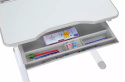 Fun Desk Fressia Grey z lampką - Regulowane biurko z szufladą Cubby Biały/Szary Fun Desk Fressia Grey z lampką - Regulowane biurko z szufladą Cubby Biały/Szary