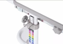 Fun Desk Fressia Grey z lampką - Regulowane biurko z szufladą Cubby Biały/Szary Fun Desk Fressia Grey z lampką - Regulowane biurko z szufladą Cubby Biały/Szary