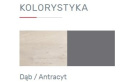 BIURKO MEBLAR MŁODZIEŻOWE DELTA System DL9 - Dąb / Antracyt BIURKO MEBLAR MŁODZIEŻOWE DELTA System DL9 - Dąb / Antracyt