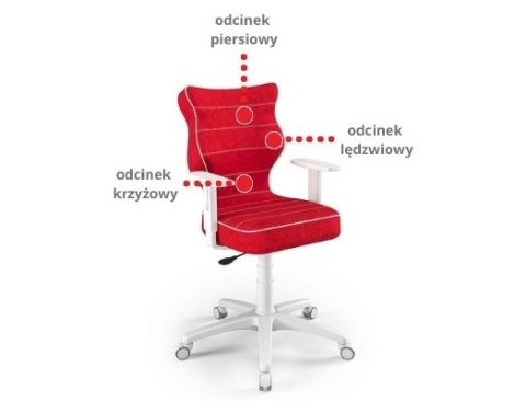 Entelo Duo Biały Storia 33 rozmiar 6 - Zdrowotne KRZESŁO dla kręgosłupa, ortopedyczne - fotel obrotowy do biurka dla dzieci Entelo Duo Biały Storia 33 rozmiar 6 - Zdrowotne KRZESŁO dla kręgosłupa, ortopedyczne - fotel obrotowy do biurka dla dzieci