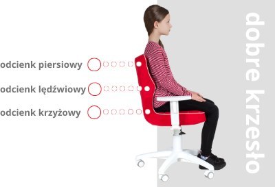 Entelo Duo Biały Storia 33 rozmiar 6 - Zdrowotne KRZESŁO dla kręgosłupa, ortopedyczne - fotel obrotowy do biurka dla dzieci Entelo Duo Biały Storia 33 rozmiar 6 - Zdrowotne KRZESŁO dla kręgosłupa, ortopedyczne - fotel obrotowy do biurka dla dzieci