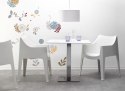 SCAB Design Krzesło Coccolona antracyt SCAB Design Krzesło Coccolona antracyt