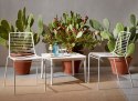 SCAB Design Krzesło Summer antracytowe SCAB Design Krzesło Summer antracytowe