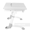 Fun Desk biurko regulowane Amare Grey Biały/Szary dla dziecka od 5 do 16 lat Fun Desk biurko regulowane Amare Grey Biały/Szary dla dziecka od 5 do 16 lat