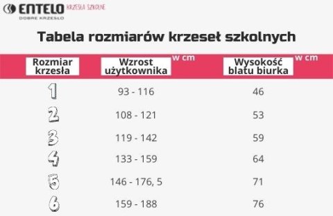 Ergonomiczne krzesło szkolne Classic rozmiar 2 fioletowy - dobre krzesło stacjonarne do biurka, ławki, szkoły, sali konferencyjnej dla dzieci i dla dorosłych Ergonomiczne krzesło szkolne Classic rozmiar 2 fioletowy - dobre krzesło stacjonarne do biurka, ławki, szkoły, sali konferencyjnej dla dzieci i dla dorosłych