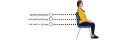 Ergonomiczne krzesło szkolne Spider Soft rozmiar 1 niebieski - dobre krzesło stacjonarne do biurka, ławki, szkoły, sali konferencyjnej dla dzieci i dla dorosłych 
