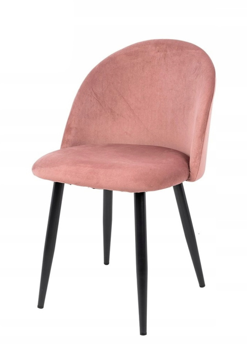 Modesto Design MODESTO krzesło NICOLE pudrowy róż - welur, nogi metal czarne Modesto Design MODESTO krzesło NICOLE pudrowy róż - welur, nogi metal czarne