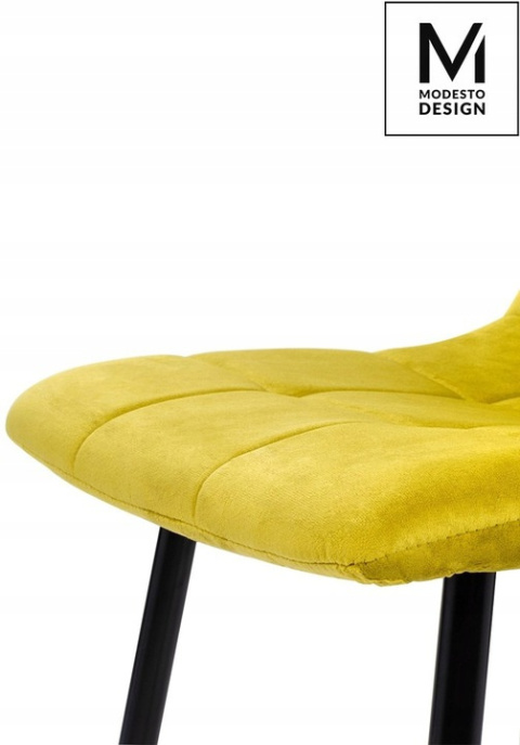 KRZESŁO PIKOWANE CARLO Modesto Design MODESTO MUSZTARDOWE - WELUR NOGI METALOWE CZARNE KRZESŁO PIKOWANE CARLO Modesto Design MODESTO MUSZTARDOWE - WELUR NOGI METALOWE CZARNE