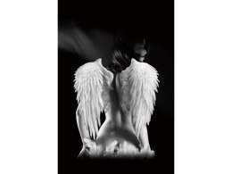 OBRAZ ANGEL 80X120 - obraz na szkle hartowanym - skrzydła anioła