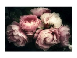 OBRAZ FLOWERS I 120X80 - obraz na szkle hartowanym - różowe kwiaty, róże