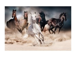 OBRAZ HORSES 120X80 - obraz na szkle hartowanym - konie