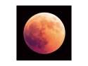 SIGNAL OBRAZ MOON 80X80 - obraz na szkle hartowanym, księżyc czarne tło SIGNAL OBRAZ MOON 80X80 - obraz na szkle hartowanym, księżyc czarne tło