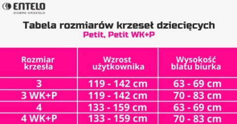 ENTELO Petit Szary Monolith 24 rozmiar 4 - DOBRE KRZESŁO dla kręgosłupa, ortopedyczne - fotel obrotowy do biurka ENTELO Petit Szary Monolith 24 rozmiar 4 - DOBRE KRZESŁO dla kręgosłupa, ortopedyczne - fotel obrotowy do biurka