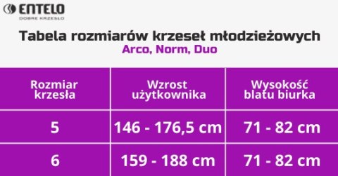 ENTELO Duo Biały Monolith 03 rozmiar 6 - DOBRE KRZESŁO dla kręgosłupa, ortopedyczne - fotel obrotowy do biurka ENTELO Duo Biały Monolith 03 rozmiar 6 - DOBRE KRZESŁO dla kręgosłupa, ortopedyczne - fotel obrotowy do biurka