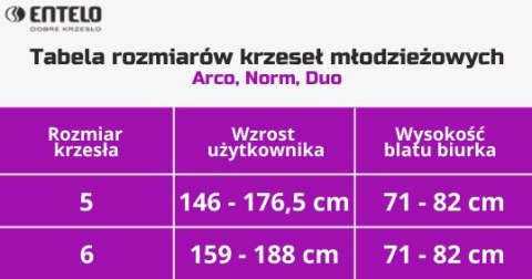 ENTELO Duo Biały Monolith 06 rozmiar 6 - DOBRE KRZESŁO dla kręgosłupa, ortopedyczne - fotel obrotowy do biurka ENTELO Duo Biały Monolith 06 rozmiar 6 - DOBRE KRZESŁO dla kręgosłupa, ortopedyczne - fotel obrotowy do biurka