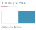 ŁÓŻKO PIĘTROWE Z SZAFĄ MEBLE MŁODZIEŻOWE MOBI System MO20 Meblar - Biały Lux /Turkus łóżko piętrowe półkami i biurkiem -drabinka