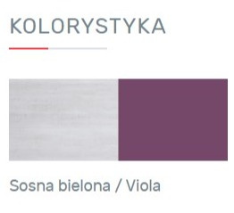 SZAFA NAROŻNA MŁODZIEŻOWA NEXT System NX2 Meblar - SONA BIELONA / VIOLA - narożna Z DRĄŻKAMI I PÓŁKAMI do pokoju nastolatka SZAFA NAROŻNA MŁODZIEŻOWA NEXT System NX2 Meblar - SONA BIELONA / VIOLA - narożna Z DRĄŻKAMI I PÓŁKAMI do pokoju nastolatka