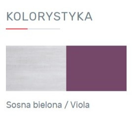 SZAFA DWUDRZWIOWA Z SZUFLADĄ MŁODZIEŻOWA NEXT System NX3 Meblar - Sosna bielona / Viola - szafa z otwartą półką dla nastolatka SZAFA DWUDRZWIOWA Z SZUFLADĄ MŁODZIEŻOWA NEXT System NX3 Meblar - Sosna bielona / Viola - szafa z otwartą półką dla nastolatka