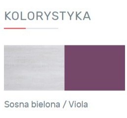 REGAŁ MŁODZIEŻOWY NEXT System NX8 Meblar - Sosna bielona / Viola z szufladami i drzwiami uchylnymi - do pokoju nastolatka REGAŁ MŁODZIEŻOWY NEXT System NX8 Meblar - Sosna bielona / Viola z szufladami i drzwiami uchylnymi - do pokoju nastolatka