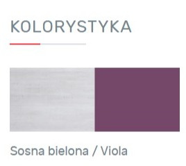 REGAŁ MŁODZIEŻOWY Meblar NEXT System NX9 Sosna bielona /Viola Z SZUFLADAMI I PÓŁKAMI PŁYTA LAMINOWANA DLA DZIECKA DLA NASTOLATKA REGAŁ MŁODZIEŻOWY Meblar NEXT System NX9 Sosna bielona /Viola Z SZUFLADAMI I PÓŁKAMI PŁYTA LAMINOWANA DLA DZIECKA DLA NASTOLATKA
