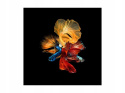 SIGNAL OBRAZ BETTA II 80X80 - obraz na szkle hartowanym, fauna morska SIGNAL OBRAZ BETTA II 80X80 - obraz na szkle hartowanym, fauna morska
