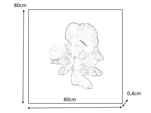 SIGNAL OBRAZ BETTA II 80X80 - obraz na szkle hartowanym, fauna morska SIGNAL OBRAZ BETTA II 80X80 - obraz na szkle hartowanym, fauna morska