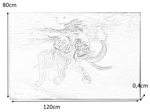 SIGNAL OBRAZ ELEPHANT 120X80 - obraz na szkle hartowanym - słoń pod wodą, szary morski SIGNAL OBRAZ ELEPHANT 120X80 - obraz na szkle hartowanym - słoń pod wodą, szary morski