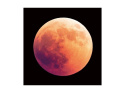 SIGNAL OBRAZ MOON 80X80 - obraz na szkle hartowanym, księżyc czarne tło SIGNAL OBRAZ MOON 80X80 - obraz na szkle hartowanym, księżyc czarne tło