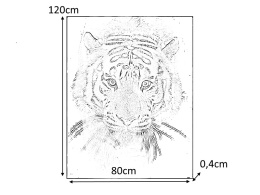 SIGNAL OBRAZ TIGER 80X120 - obraz na szkle hartowanym, tygrys czarno biały