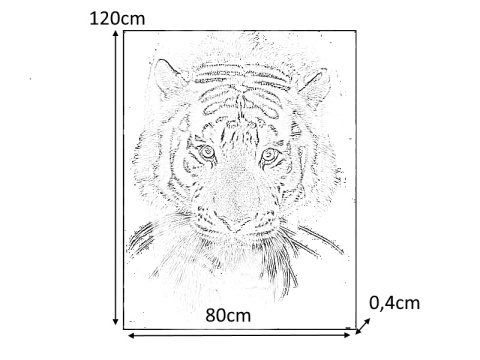 SIGNAL OBRAZ TIGER 80X120 - obraz na szkle hartowanym, tygrys czarno biały SIGNAL OBRAZ TIGER 80X120 - obraz na szkle hartowanym, tygrys czarno biały