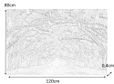 SIGNAL OBRAZ TREES I 120X80 - obraz na szkle hartowanym, las liściasty, aleja drzew SIGNAL OBRAZ TREES I 120X80 - obraz na szkle hartowanym, las liściasty, aleja drzew