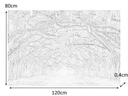 SIGNAL OBRAZ TREES I 120X80 - obraz na szkle hartowanym, las liściasty, aleja drzew