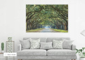 SIGNAL OBRAZ TREES I 120X80 - obraz na szkle hartowanym, las liściasty, aleja drzew SIGNAL OBRAZ TREES I 120X80 - obraz na szkle hartowanym, las liściasty, aleja drzew