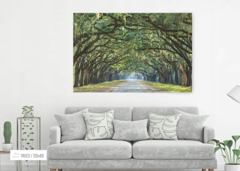 SIGNAL OBRAZ TREES I 120X80 - obraz na szkle hartowanym, las liściasty, aleja drzew SIGNAL OBRAZ TREES I 120X80 - obraz na szkle hartowanym, las liściasty, aleja drzew